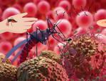 Uzmanından 'sıtma' uyarısı: Bu belirtiler varsa hemen hastaneye koşun! Sıtma belirtileri neler?