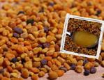 Propolis nedir? Nasıl kullanılır? Etkileri nelerdir?