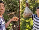 'Maden buldum' diyerek paylaştı: Ormandan topluyor kilosunu 5 bin liradan satıyor!