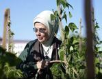 Emine Erdoğan, Milli Botanik Bah&ccedil;esi&rsquo;ni ziyaret etti: "Bitki hazinemizi korumak &ccedil;ok kıymetli"