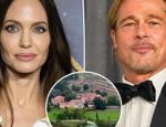 Yılan hikayesine dönen Miraval Şatosu davasında Brad Pitt Angelina Jolie'ye rest çekti!