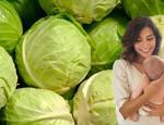 Emziren anne ve bebekte lahana gaz yapar mı? Emziren anneler lahana suyu içebilir mi? 
