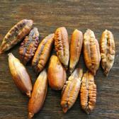 Hurma &ccedil;ekirdeklerini sakın &ccedil;&ouml;pe atmayın! Hurma &ccedil;ekirdeklerinin faydaları nelerdir?