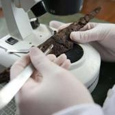 Tarihi keşif! Hadrianopolis&rsquo;te 1500 yıllık sır toprağın altından &ccedil;ıktı