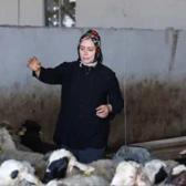 43 yaşında 3 &ccedil;ocuk annesi &ccedil;iftlik kurdu: Kendi işinin patronu oldu
