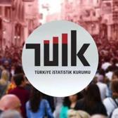 T&Uuml;İK&rsquo;ten dikkat &ccedil;eken &ccedil;alışma: Herkes memleketine d&ouml;nseydi en kalabalık il hangisi olurdu?