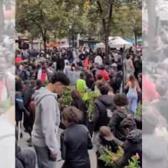 Ücretsiz kızarmış tavuk etkinliği izdihama neden oldu: Binlerce insan Paris sokaklarına akın etti!