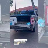 Ceyda Ateş'in yaşadığı sitede başıboş gezen timsah yakalandı!