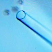 T&uuml;p bebek tedavisinde kritik nokta: Sağlıklı yaşam bir tercih değil, tedavinin par&ccedil;ası!