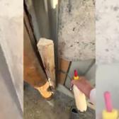 Annesini kaybeden kuzunun sahibine koştuğu anlar sosyal medyada g&uuml;ndem oldu!