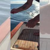 Ata Demirer İstanbul Boğazı'nda palamut avına &ccedil;ıktı!