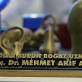 Mevsimi geldi! &Ccedil;ocuklarda orta kulak enfeksiyonu ve sıvı birikimine dikkat