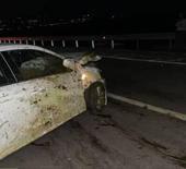 Otomobil sürüye daldı: 15 koyun telef oldu