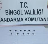 Bingöl'de jandarmanın dikkati tarihi eser kaçakçılığını önledi