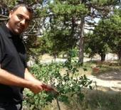 Mersin'de akıl dışı olay: Ölmeden ölüm ilanı verildi
