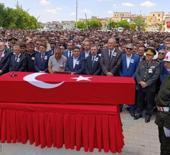 Binler uğurladı! Şehide son veda