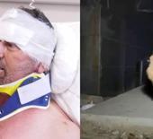 Aslanın saldırdığı çiftçi taburcu edildi: Hakkımı helal ederim