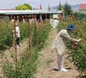 Hobi olarak başladığı işte talebe yetişemiyor