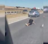 Silivri’de ilginç manzara: Akan trafikte asfalta oturdu