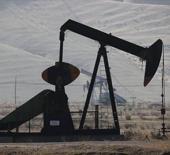 Petrol hakkına müteallik karar