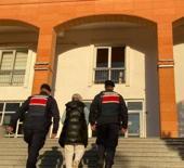 Samsun'da bir FETÖ üyesi yakalandı