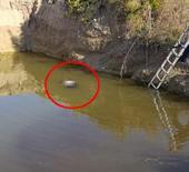 Antalya'da sır olay: Su dolu çukurdan kadın cesedi çıktı!