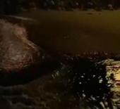 Depremden yarım saat önce dikkat çeken görüntü: Arnavutköy’de deniz çekildi!