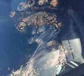 Gümüşhane'de ayı saldırısı!