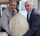 Devasa kabağın kilosunu öğrenince sevinçten havalara uçtu