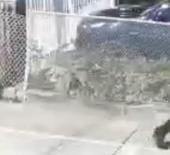 İnşaat işçisi kılığına girip 3,2 milyon dolar çaldılar!