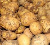 Ticaret Bakanlığından patates fiyatlarına ilişkin açıklama