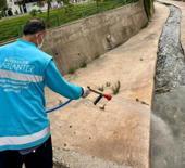 Gaziantep Büyükşehir'den ilaçlama çalışması 