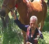Cezaevinden izinli çıkan babasını öldüren sanığın cezası belli oldu