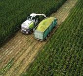 Çiftçilere 1,5 milyar liralık tarımsal destekleme ödemesi bugün yapılacak