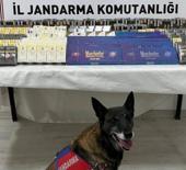 Kayseri’de 500 paket kaçak sigara ele geçirildi