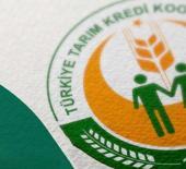Tarım Kredi Market'ten herkesi sevindiren indirim! 16 Kasım'da bitiyor