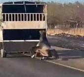 Görüntüler infial yaratmıştı, o görüntü cezasız kalmadı