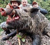 Trabzon'da avladılar! Cüsseleri korkutucu büyüklükte