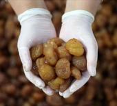 İpsala pirinci ve Bursa kestane şekeri AB tescili aldı!