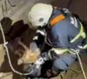 Su kuyusuna düşen çakal kurtarıldı