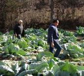 İki kardeş ayrılmadı! Eltiler zorunlu olarak anlaşmaya başladı
