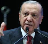 Cumhurbaşkanı Erdoğan, Finlandiyalı mevkidaşıyla görüştü