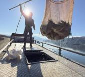 Denizi olmayan şehirden Japonya ve Avrupa'ya somon ihracatı