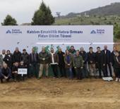 Katılım Emeklilik 10 bin fidanı toprakla buluşturdu