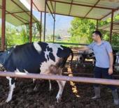 Milas'ta "şap hastalığı" nedeniyle 11 mahalle karantinaya alındı