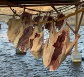 Sofraların vazgeçilmezi ocak ayına hazırlanıyor: Kilosu 2 bin liradan satılıyor