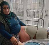 Yer: Mersin! 35 yıldır illet hastalıkla mücadele ediyor