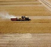 Bakan Yumaklı duyurdu: 1 milyar 688 milyon TL bug&uuml;n hesaplarda!