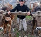 Aydın'da aile i&ccedil;i cinayet: 22 yaşındaki gen&ccedil; &ouml;ld&uuml;r&uuml;ld&uuml; 