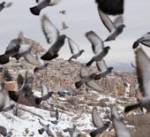 Kapadokya&rsquo;da masalsı manzara: Peribacaları beyaza b&uuml;r&uuml;nd&uuml;